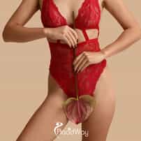 Gynecology Treatment in Mexico for Uninsured American Women: What Procedures Are Available and How to Plan?